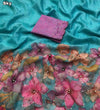 Tebby Organza Saree