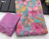 Tebby Organza Saree